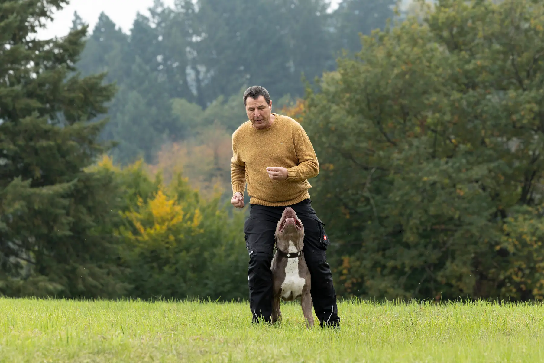Thorsten Lapsit beim gemeinsamen Training mit einem Listenhund