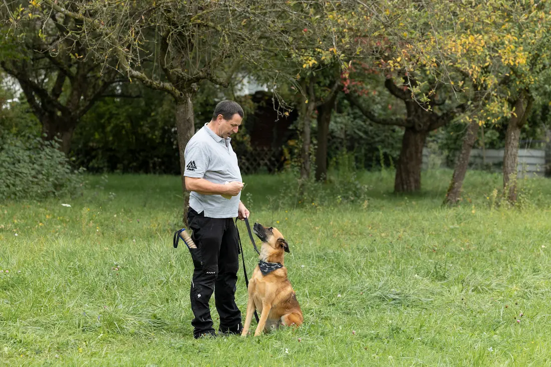 Ein Hund orientiert sich aufmerksam an Thorsten Lapsit