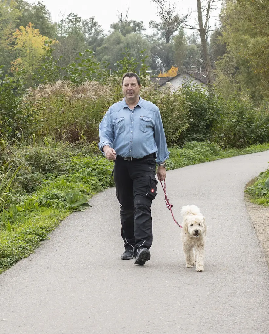 Persönliches Alltagstraining mit Hund