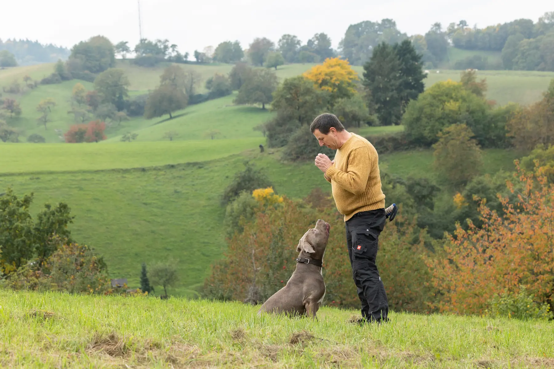 Thorsten Lapsit mit einem Listenhund
