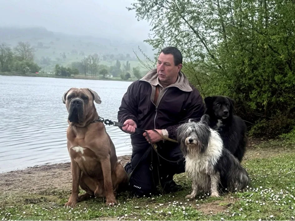 Thorsten Lapsit bei der Vorbereitung eines Hundes auf den Wesenstest