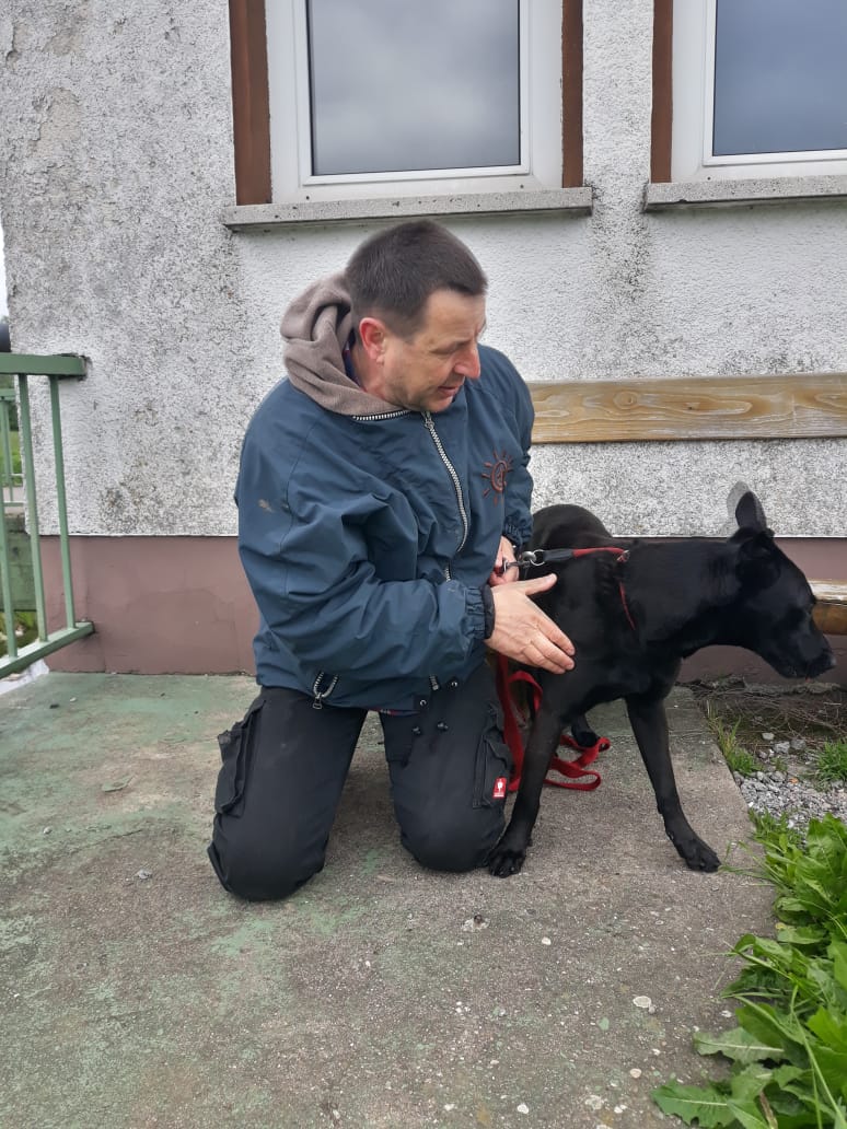 Thorsten Lapsit mit Tierschutzhund Puma