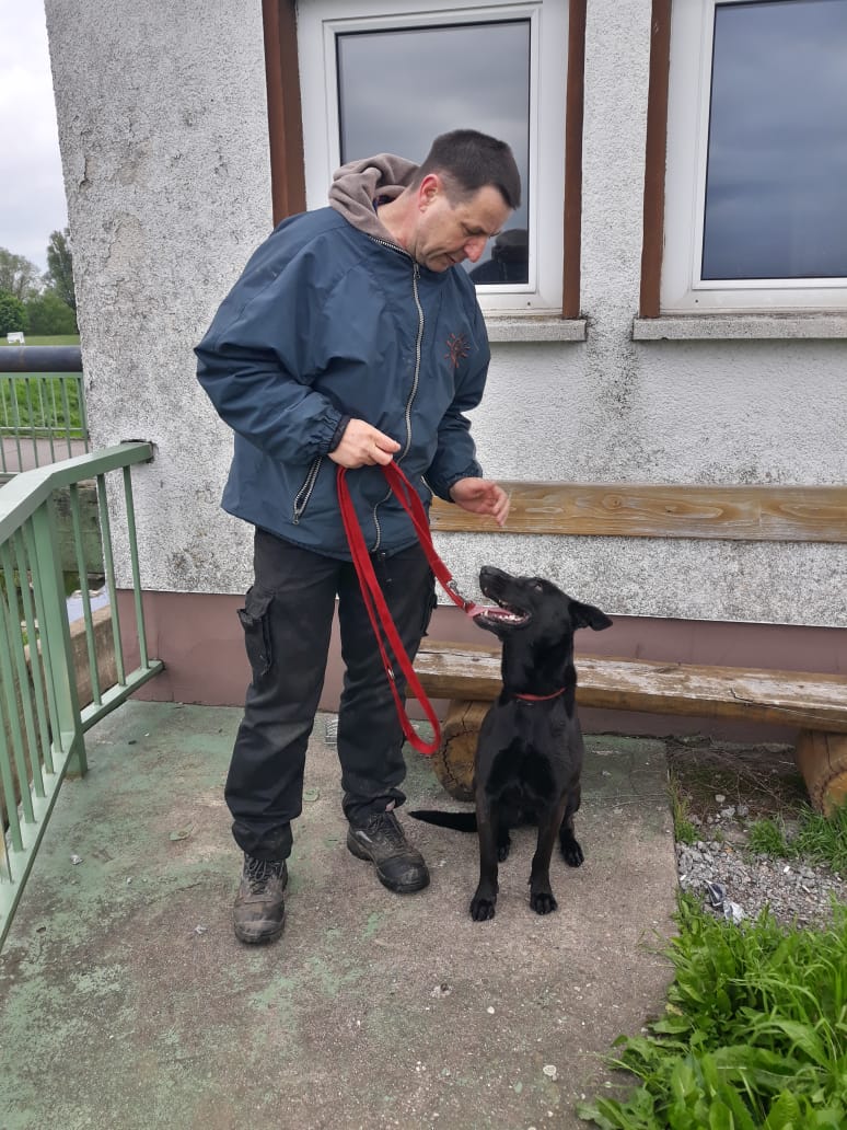 Thorsten Lapsit mit Tierschutzhündin "Puma"